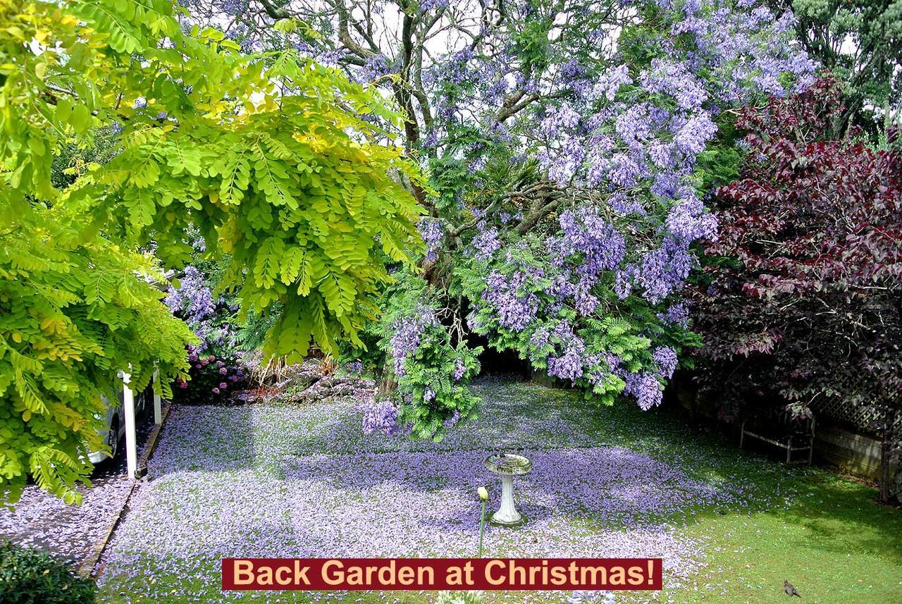The Grange Bed and Breakfast Auckland Exteriör bild